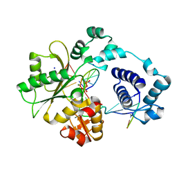 BU of 2bcs by Molmil