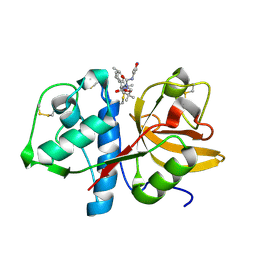 BU of 2bdl by Molmil