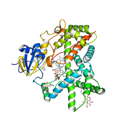 BU of 2bdm by Molmil