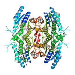 BU of 2bfp by Molmil