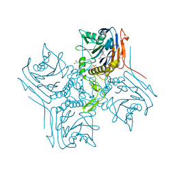 BU of 2bjf by Molmil