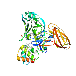 BU of 2blf by Molmil