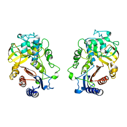 AU of 2blt by Molmil