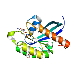 BU of 2bmd by Molmil