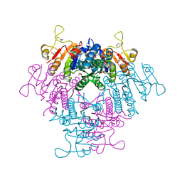 BU of 2bnf by Molmil