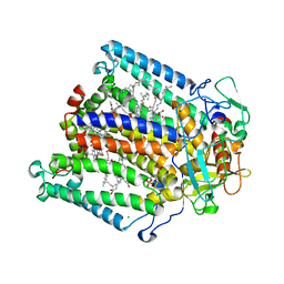 BU of 2bnp by Molmil