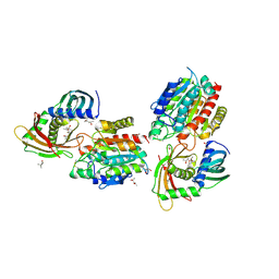 BU of 2bo9 by Molmil