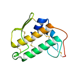 BU of 2bp2 by Molmil