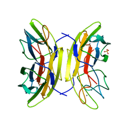 BU of 2bp6 by Molmil