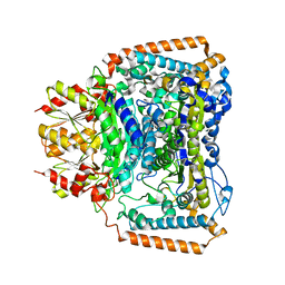 BU of 2bp7 by Molmil