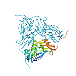 BU of 2bp8 by Molmil