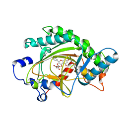 BU of 2brt by Molmil