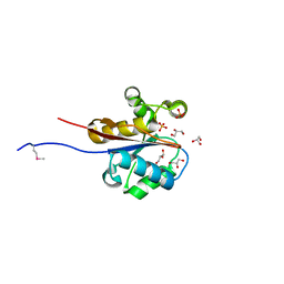 AU of 2bsn by Molmil