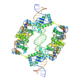 BU of 2bsq by Molmil