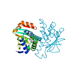 BU of 2bt0 by Molmil