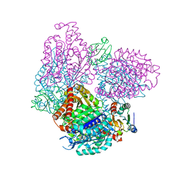 BU of 2bto by Molmil