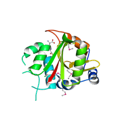 BU of 2bu3 by Molmil