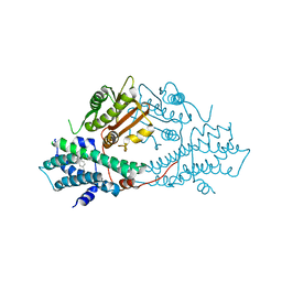 BU of 2bu5 by Molmil