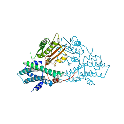 BU of 2bu6 by Molmil