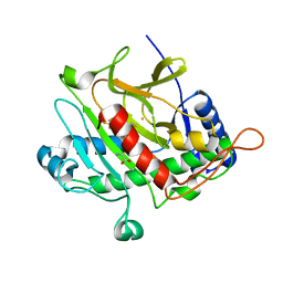 BU of 2bu9 by Molmil