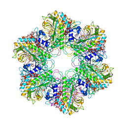 BU of 2bvc by Molmil