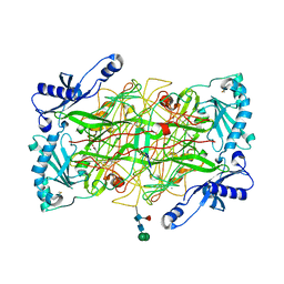 BU of 2c10 by Molmil