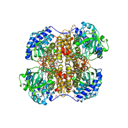 BU of 2c12 by Molmil