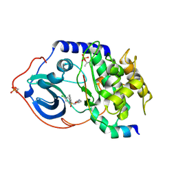 BU of 2c1a by Molmil