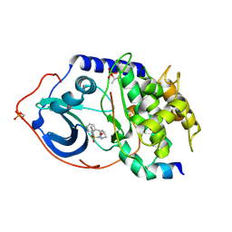 BU of 2c1b by Molmil