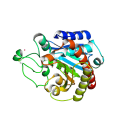 BU of 2c1c by Molmil