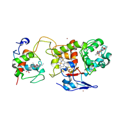 BU of 2c1d by Molmil