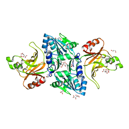 BU of 2c1l by Molmil