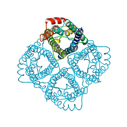 BU of 2c32 by Molmil