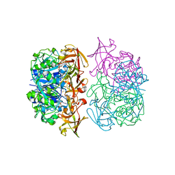 BU of 2c5b by Molmil