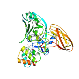 BU of 2ca4 by Molmil