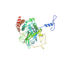 AU of 2caf by Molmil