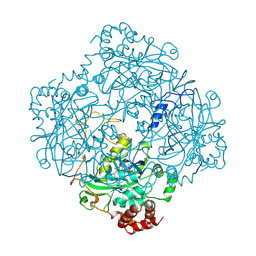 BU of 2cag by Molmil