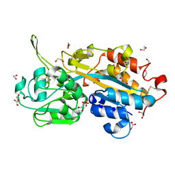 AU of 2cap by Molmil