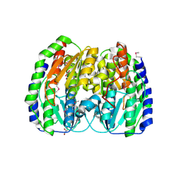 BU of 2cb0 by Molmil