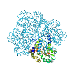 BU of 2cb1 by Molmil