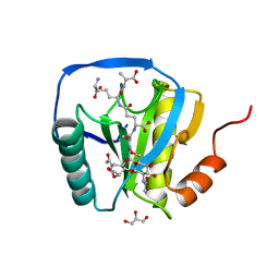 BU of 2cb3 by Molmil