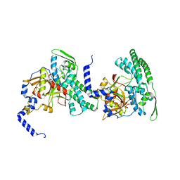 BU of 2cb5 by Molmil