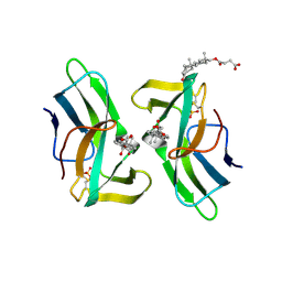 BU of 2cbq by Molmil