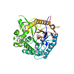 BU of 2cbv by Molmil