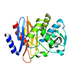 BU of 2cc1 by Molmil