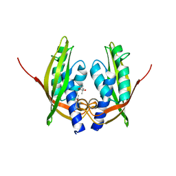 BU of 2cc3 by Molmil