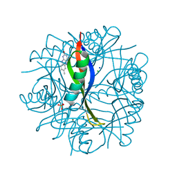 BU of 2cc6 by Molmil