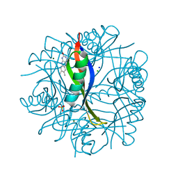 BU of 2cc7 by Molmil