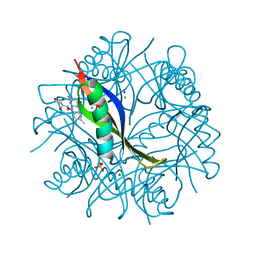 BU of 2cc8 by Molmil