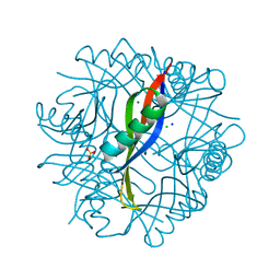 BU of 2cc9 by Molmil